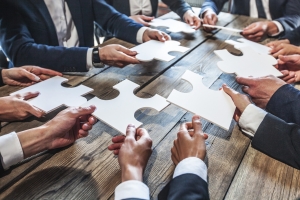 Development of custom software as a business tool: case study